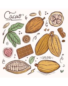 Caja Regalo Chocolate Lovers