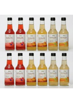 Pack ahorro 12 kombuchas de 3 sabores